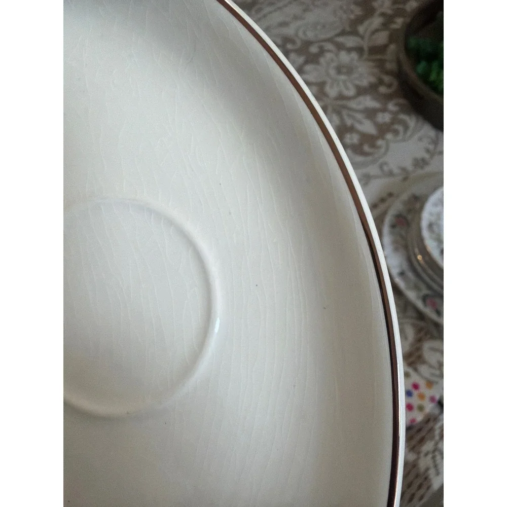 Salem China vintage salem